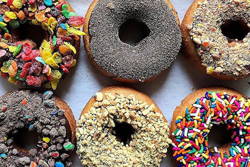 donut-experiment-anna-maria-island-pine-ave donut-experiment-anna-maria-island-pine-ave