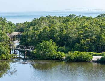 anna maria island preserve robinson