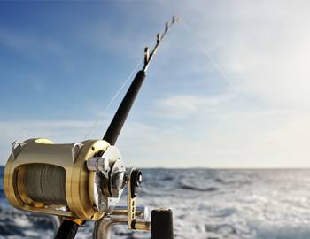 tarpon fishing charter on anna maria island