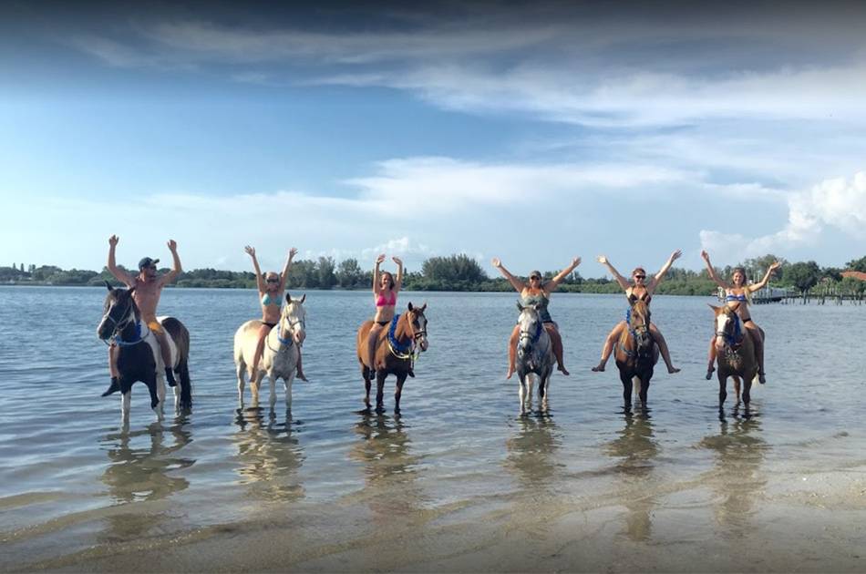 horse back riding on anna maria island fun things to do horse back riding on anna maria island fun things to do