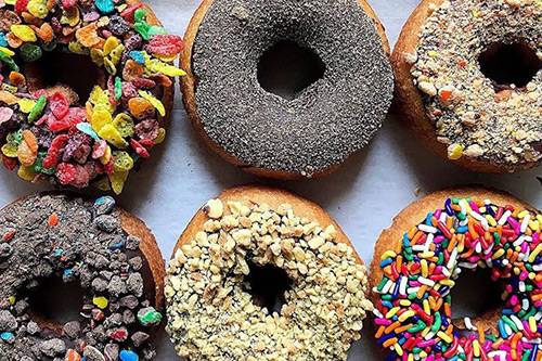 donut-experiment-anna-maria-island-pine-ave donut-experiment-anna-maria-island-pine-ave