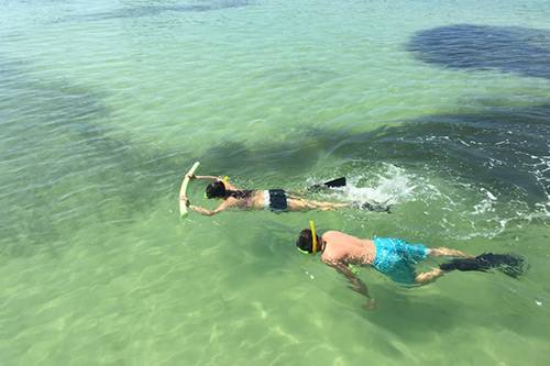 egmont key adventures snorkeling sightseeing around anna maria island egmont key adventures snorkeling sightseeing around anna maria island