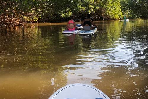 paddleboard tours on anna maria island paddleboard tours on anna maria island