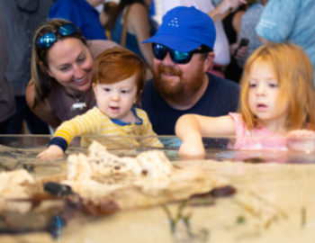 Sealife Learning Anna Maria Island