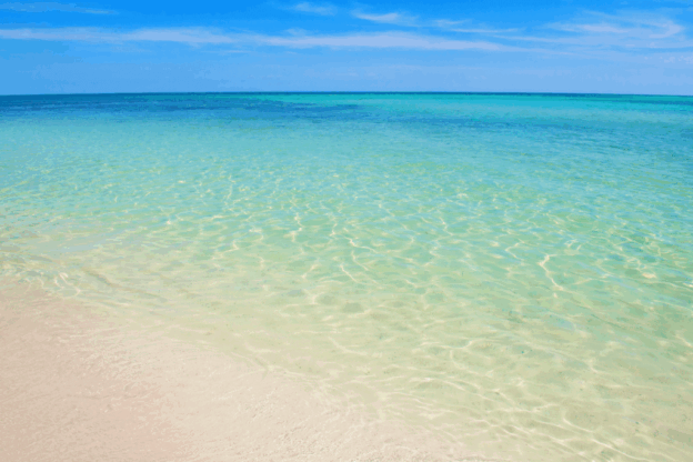 Anna Maria Island Beaches You Can’t Miss