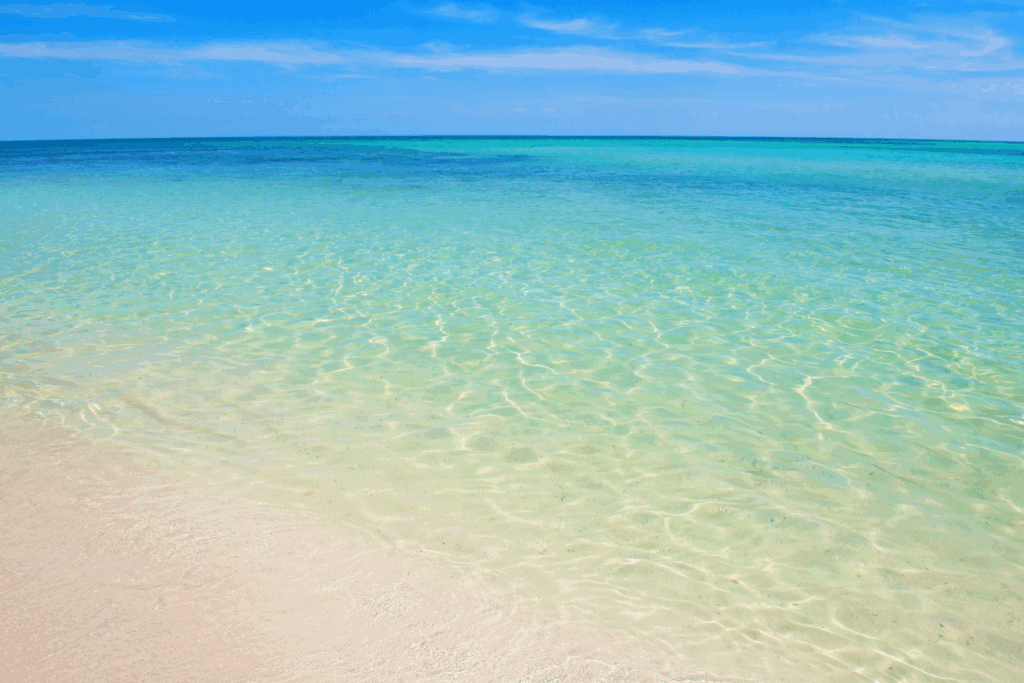 Anna Maria Island Beaches You Can’t Miss