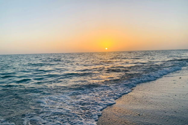 Your Spring Escape Starts on Florida’s Gulf Coast: Enhanced by Local Partnerships