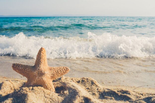 Top 6 Reasons Families Love Visiting Anna Maria Island in August