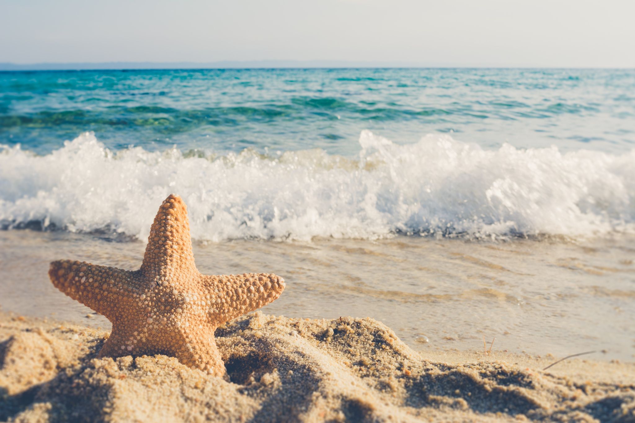 Top 6 Reasons Families Love Visiting Anna Maria Island in August